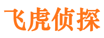 伊吾市调查公司